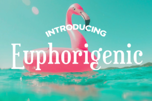 Euphorigenic Font: A Playful Typeface for Polished Web Designs