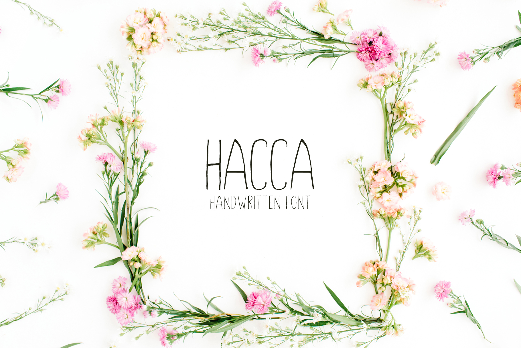 Hacca Font: A Versatile Typeface for Modern Branding
