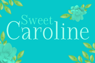 Sweet Caroline: A Rustic Serif Font for Timeless Branding