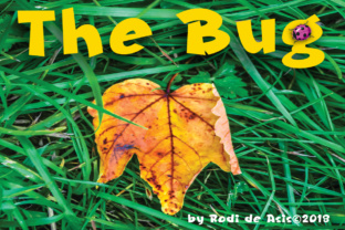 The Bug Font: A Bold Typeface for Business Branding